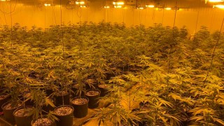 Криминалисти от Главна дирекция Национална полиция ГДНП и техни колеги