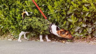 Джоузеф Форд е 39 годишен професионален фотограф от Брайтън Той има