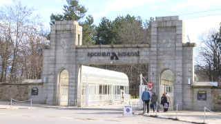 С решение на ръководството на Арсенал АД и Арсенал 2000 АД