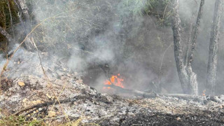 Локализиран е пожарът който възникна вчера в района на село
