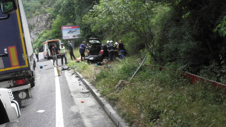 Изображение 295590