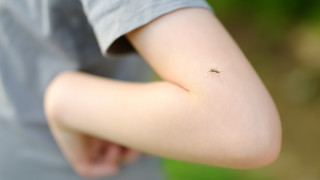 Независимо дали сме на къмпинг или просто се наслаждаваме на