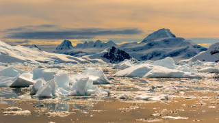 Площта на ледената покривка около Антарктида се е свила до