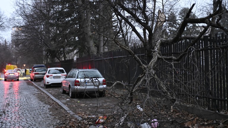 Изображение 746990