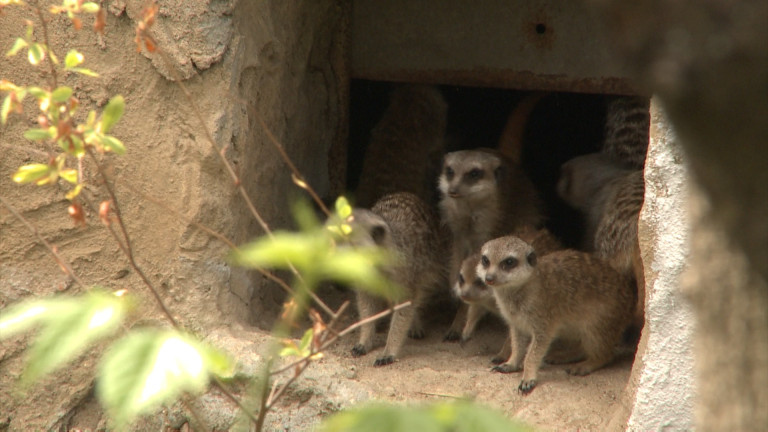 Изображение 357390