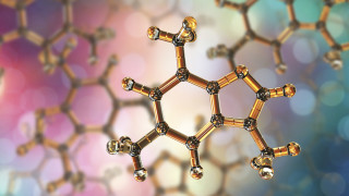 До месец два започват клиничните изпитания на разработената молекула която да