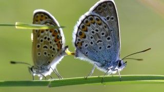 Днес над страната ще преобладава слънчево време В сутрешните часове