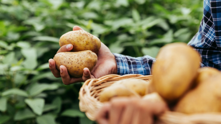 Как да ядем картофи на воля, без да пълнеем