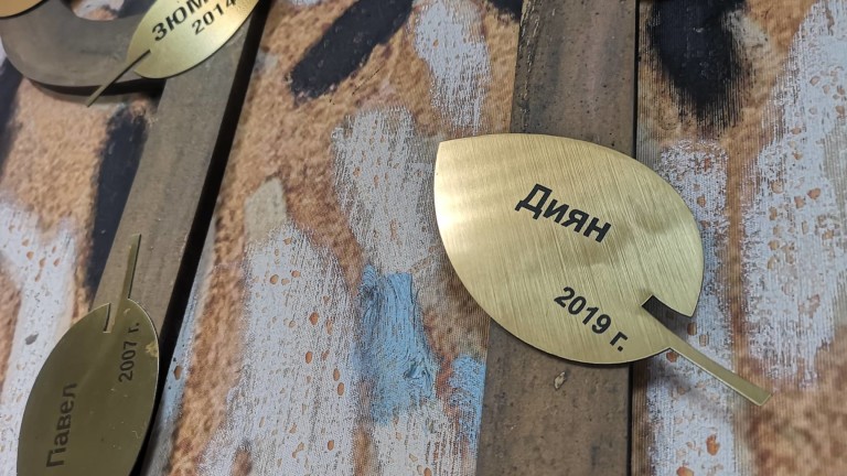 Изображение 447590