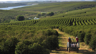 Най голямата компания за кафе в света Nestle ще инвестира над