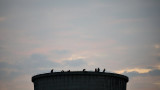  Активисти на Грийнпийс от няколко страни се качиха на комин на Топлоелектрическа централа Марица 3 