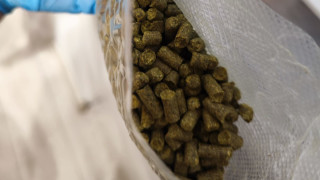 Неутрализираха организирана престъпна група която е разпространявала синтетични наркотици сред