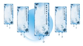 Съзнателно или не хората искат да приличат на известните личности