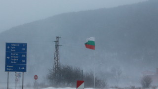 Дърво е паднало днес върху автомобил който изкачвал прохода Шипка