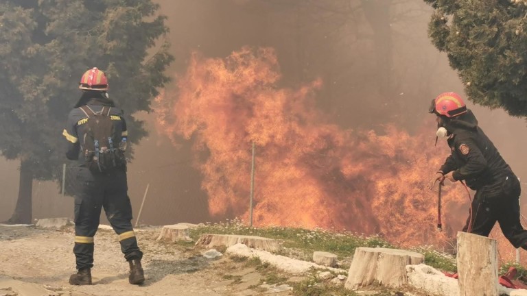 Изображение 568590