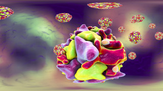 Германските здравни власти съобщиха днес че в град Хамбург е