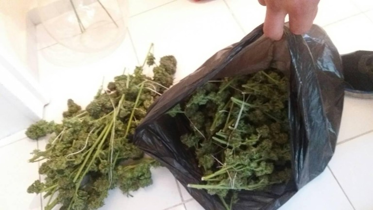 Изображение 319490