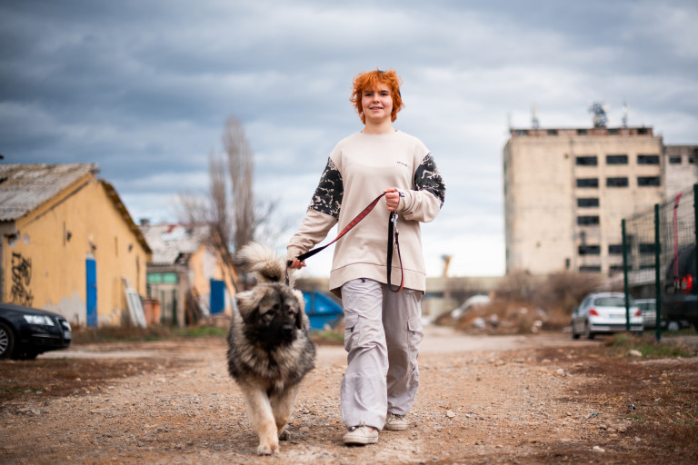 Доброволци участват в облагородяването и разрастването на приюта за кучета Every Dog Matters в Костинброд