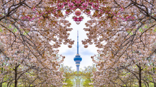 Богатите страни се придържат към ангажимента си да се откажат