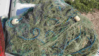 При извършена рутинна проверка по вода на река Дунав и