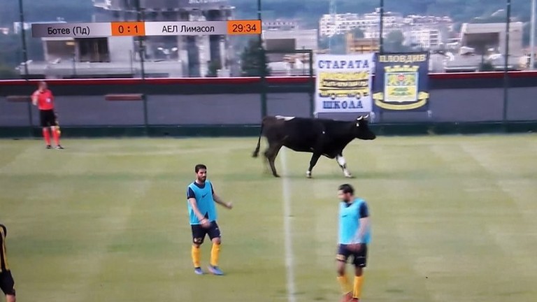 АЕЛ би Ботев, бик на терена вкарва мача в спортните емисии из цяла Европа!