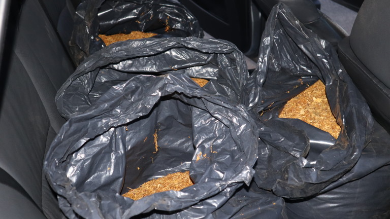 Изображение 460591