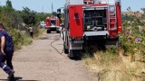 Почти 200 пожара за денонощие са гасили пожарникарите