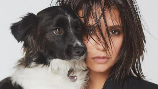 7 звезди и техните осиновени домашни любимци