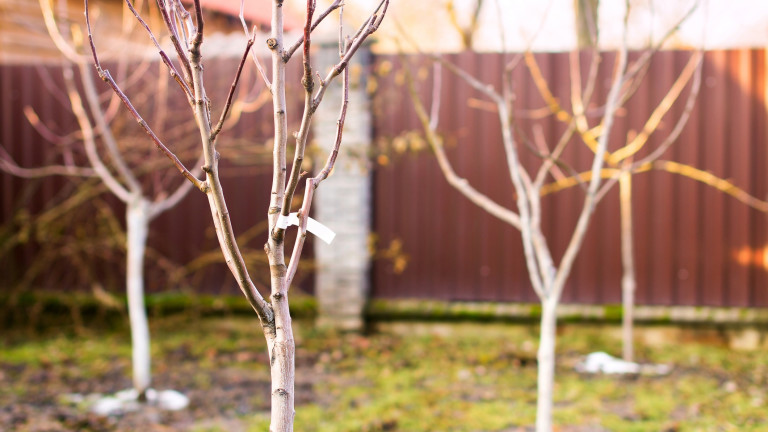 Изображение 732991