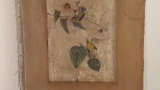 Зоологическа градина София кани всички любители на книгите и