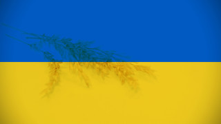ЕК очаква стъпки от Украйна за контрол на собствения селскостопански износ
