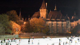 Неминуемо с настъпването на зимата и наближаването на коледните празници