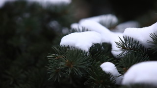 Днес над по голямата част от страната ще преобладава слънчево време