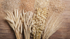 Поредна седмица без промени в цената на зърното на Софийската стокова борса