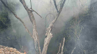 Участък от пожара в Пирин отново се разпали след като