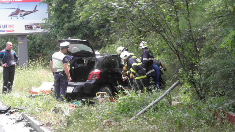 Изображение 295591