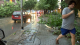 Пловдив се възстановява след вчерашната буря
