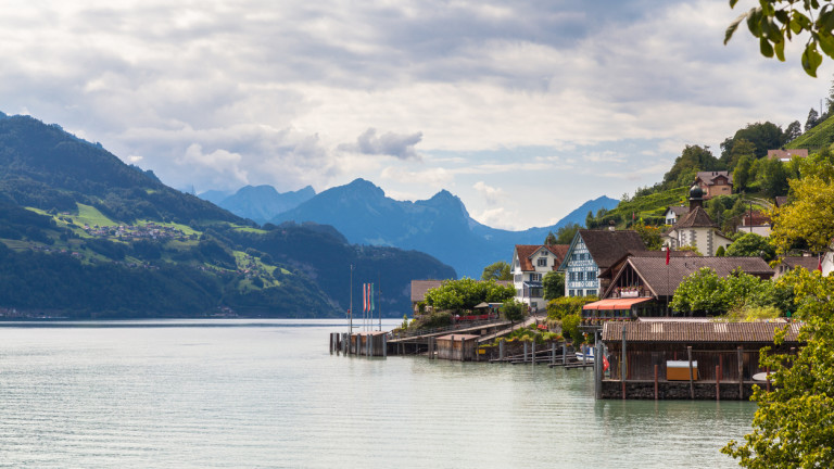 Изображение 496691