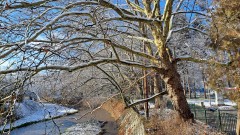 Слънце над Западна България, а по морето облаци