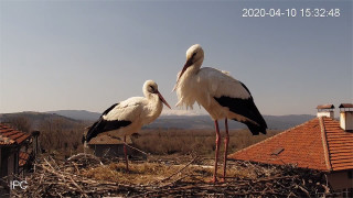 През нощта ще бъде предимно ясно а през деня слънчево