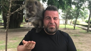 Маймуни налазиха Роро в Бали (СНИМКИ)