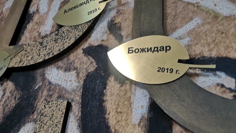 Изображение 447591