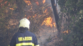Военни гасят горски пожар край ямболското село Драма 