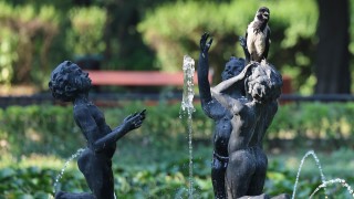 Днес над България ще бъде слънчево Това съобщават от НИМХ Жълт