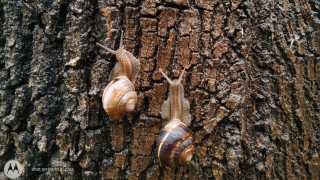 Облачно и дъждовно, жълт код в 4 области