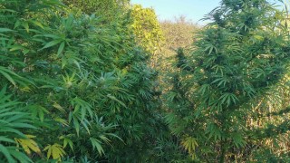 Бившият кандидат за депутат от коалиция Патриотичен фронт Валентин Велев