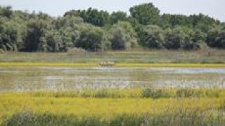 Започва драгирането около остров Белене един от най критичните участъци