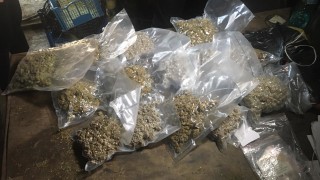 Полицаите в Пазарджик иззеха незаконно оръжие марихуана и тютюн без