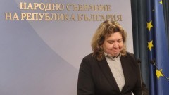 Киселова каза как групата на МЕЧ може да се върне в Народното събрание