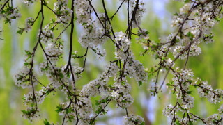 В сутрешните часове на места в равнинната част от страната